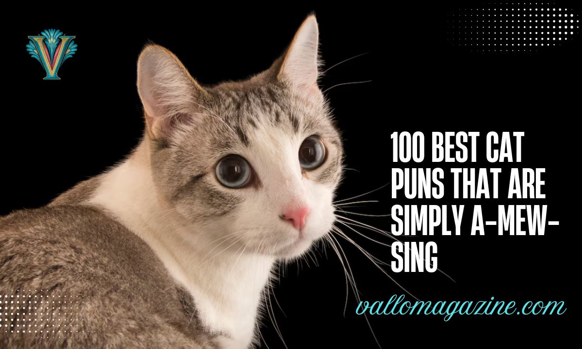 100 Best Cat Puns That Are Simply A-mew-sing