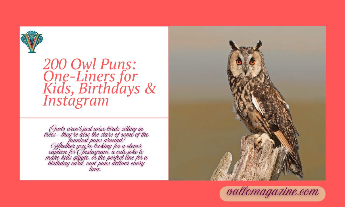 200 Owl Puns: One-Liners for Kids, Birthdays & Instagram