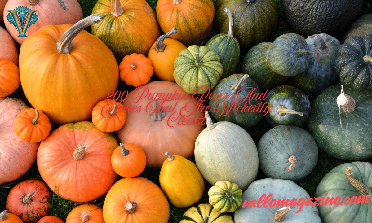 200 Pumpkin Puns And Jokes That Are Wickedly Clever