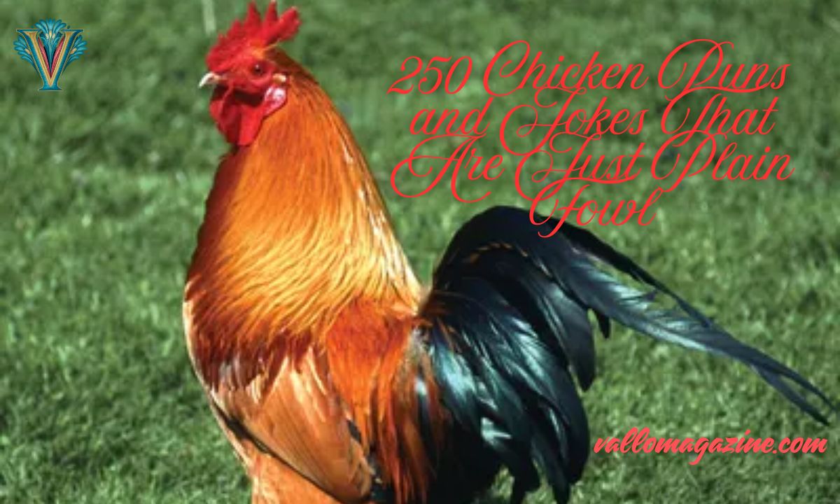 250 Chicken Puns and Jokes That Are Just Plain Fowl