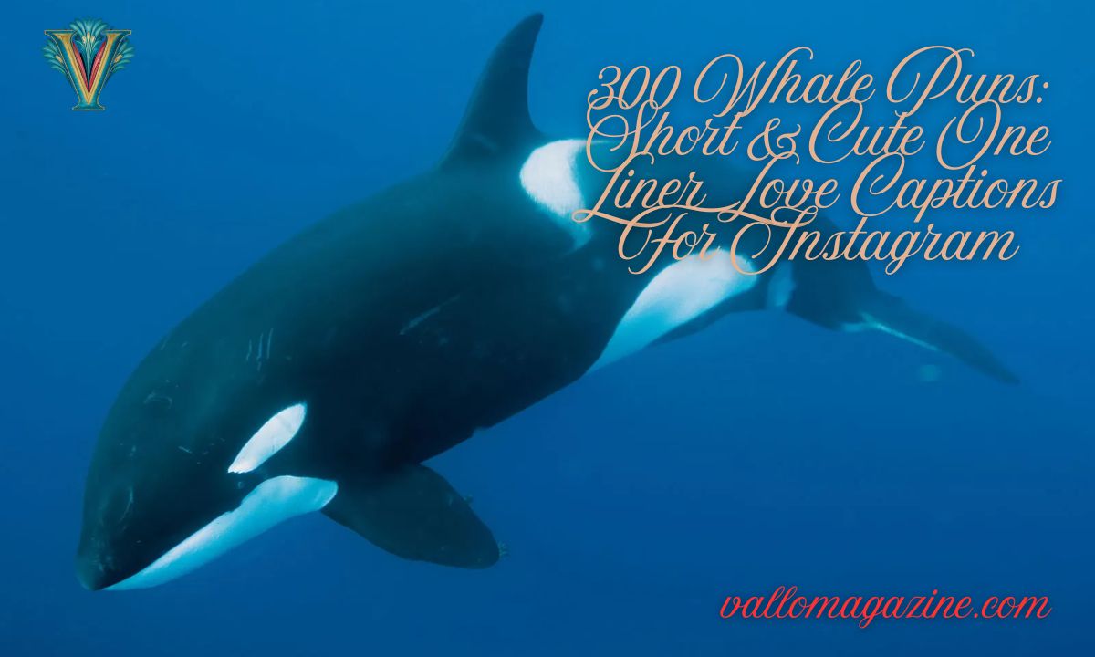 300 Whale Puns: Short & Cute One Liner Love Captions For Instagram