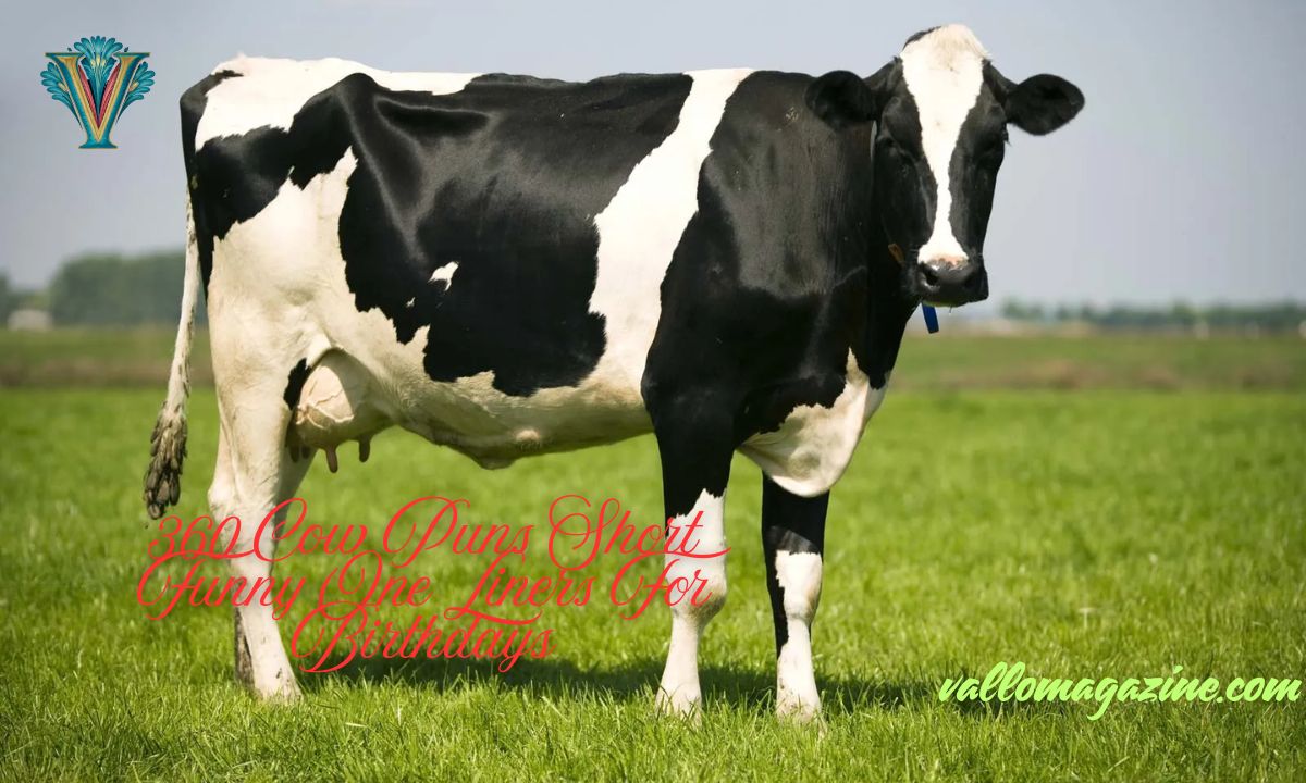 360 Cow Puns Short Funny One Liners For Birthdays