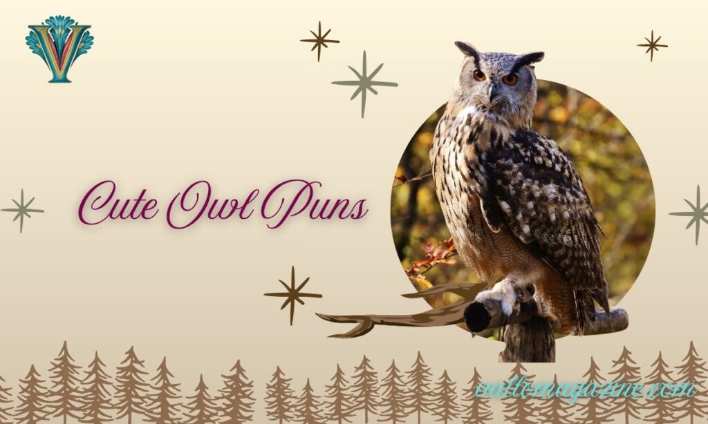 Cute Owl Puns