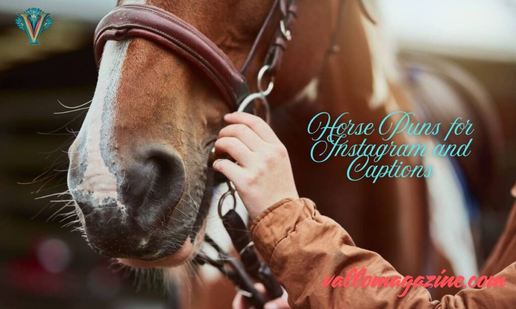 Horse Puns for Instagram and Captions
