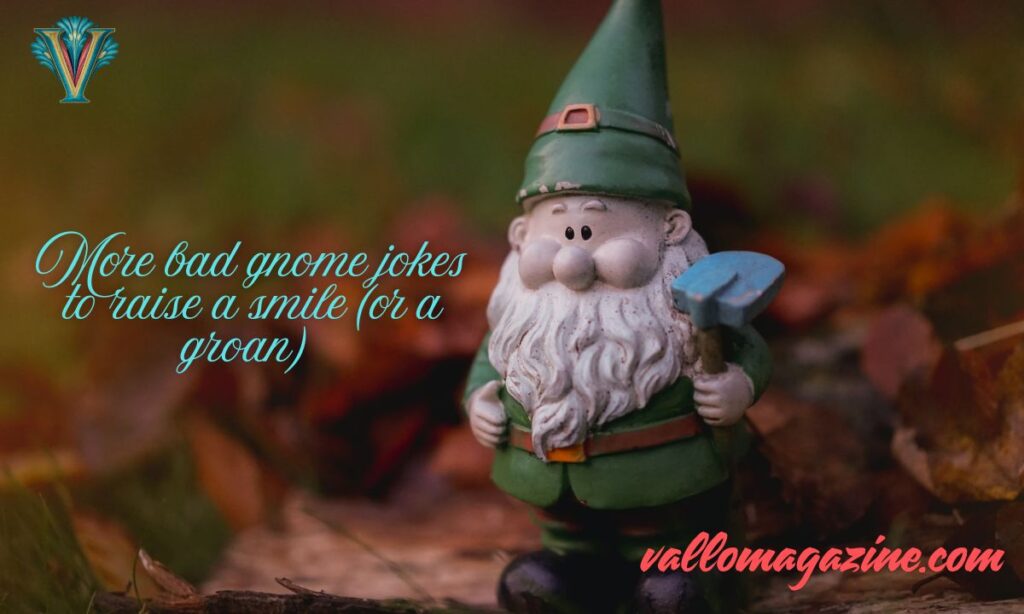 More bad gnome jokes to raise a smile (or a groan)