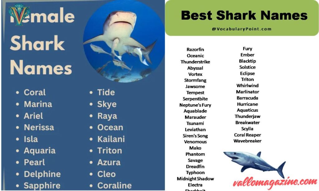 Shark Puns Names