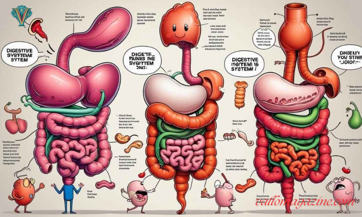 300+Gut-Busting Digestive System Puns to Tickle Funny Bone