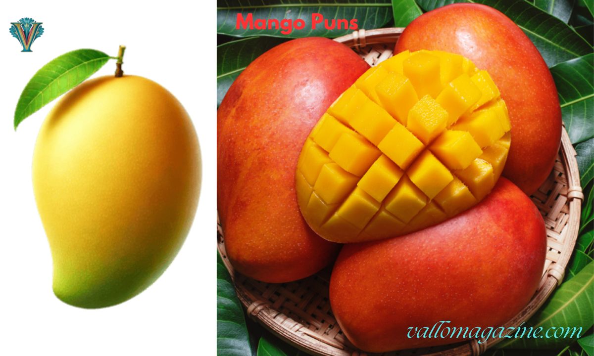 230+ Mango Puns That’ll Make You Go To Be Aggravated for This Sweet Fruit 2026 Updated! 