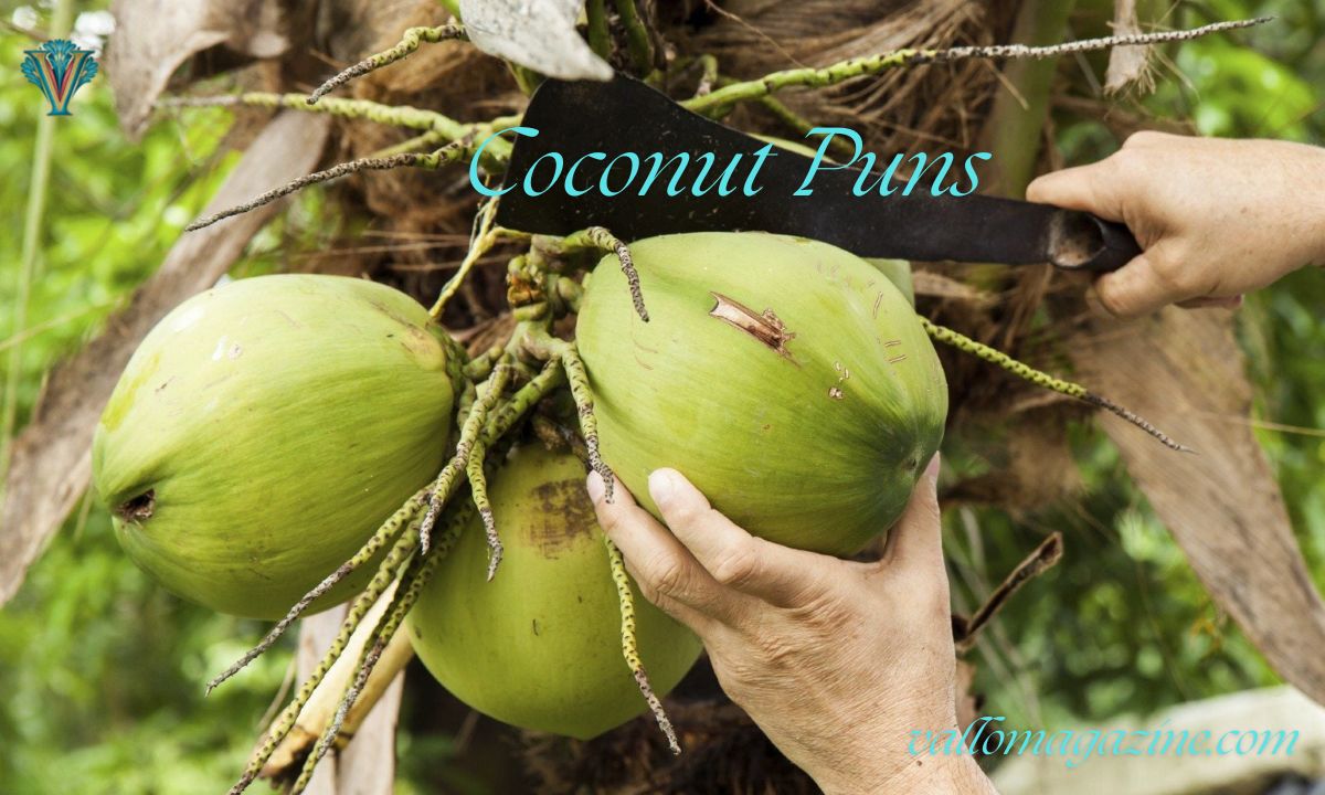 280+ Hilarious Coconut Puns That’ll Crack You Up Instantly