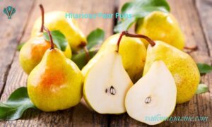 290+ Hilarious Pear Puns for a Pear-fectly Hilarious Day