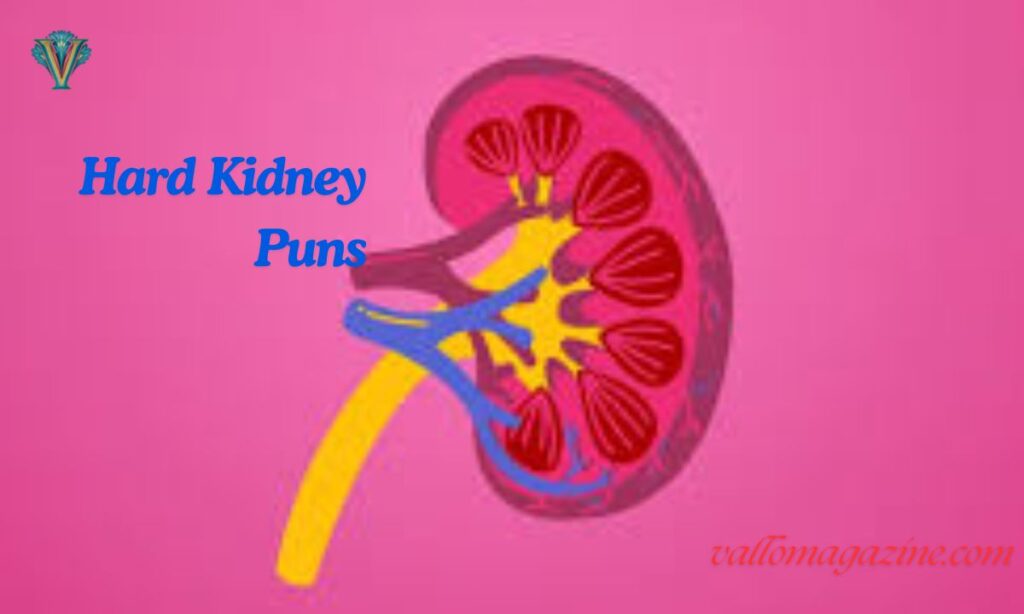 Hard Kidney Puns
