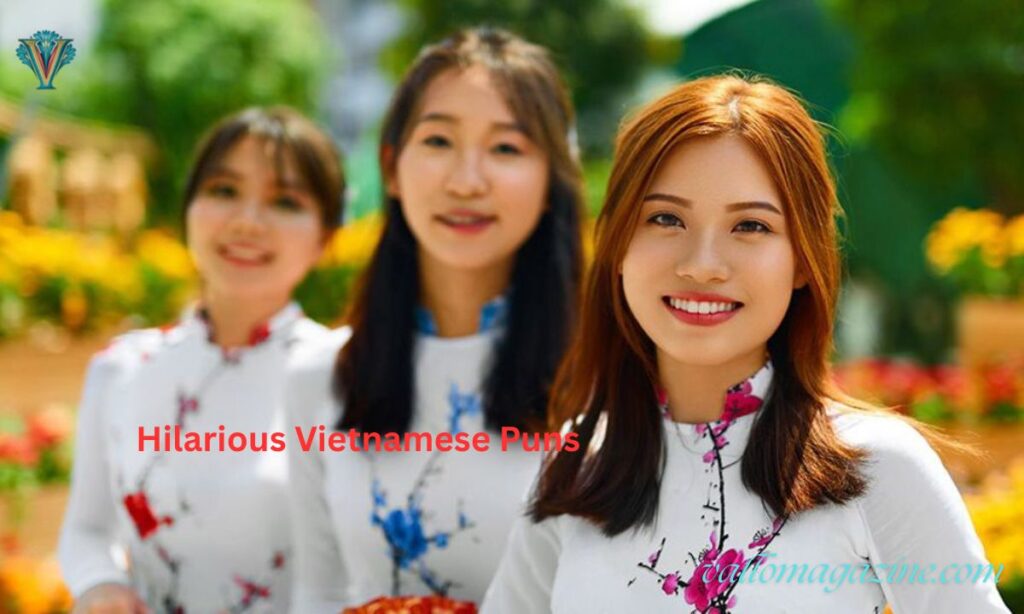 Hilarious Vietnamese Puns