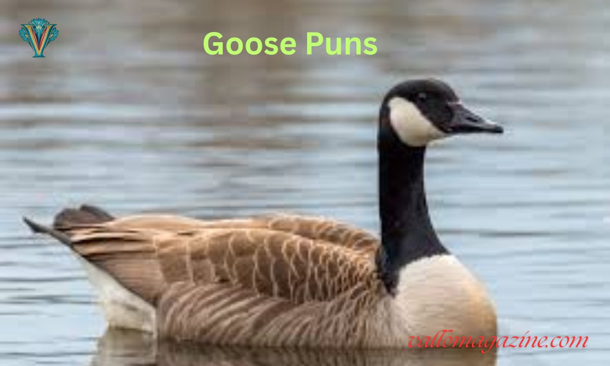 220+ Goose Puns & Jokes: Hilarious One-Liners, Names, Food & Birthday Giggles