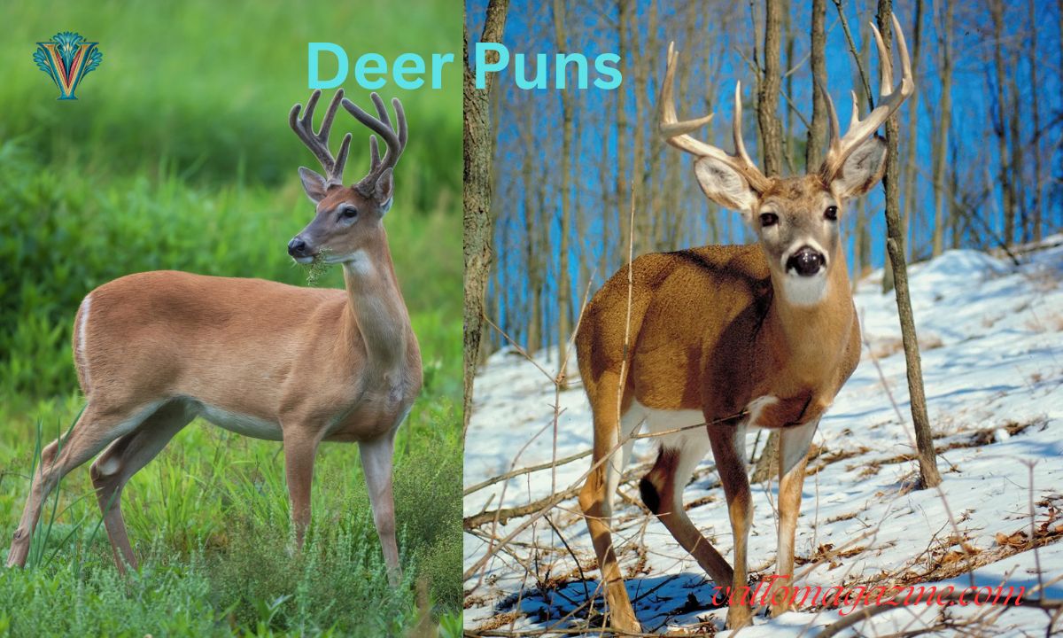 250+ Funny & Cute Deer Puns Short One-Liners, Jokes & Instagram Captions That'll Make You Fawn