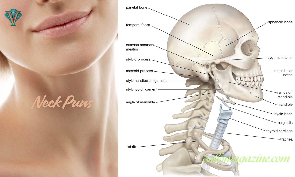 280 + Neck Puns (Funny, Dirty And Romantic)! 2026