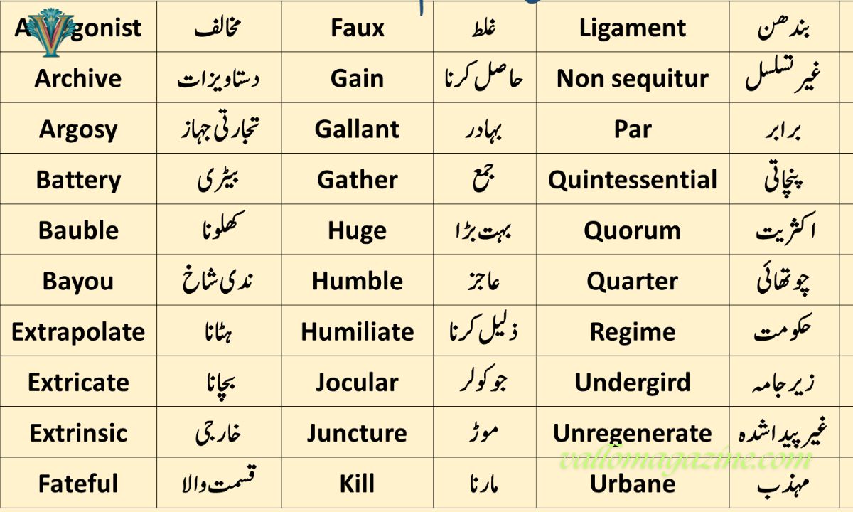 FN Meaning in Text: What Does "FN" Really Stand For?
