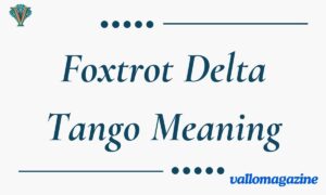 Foxtrot Delta Tango Meaning: A Surprisingly Simple Breakdown (2026)