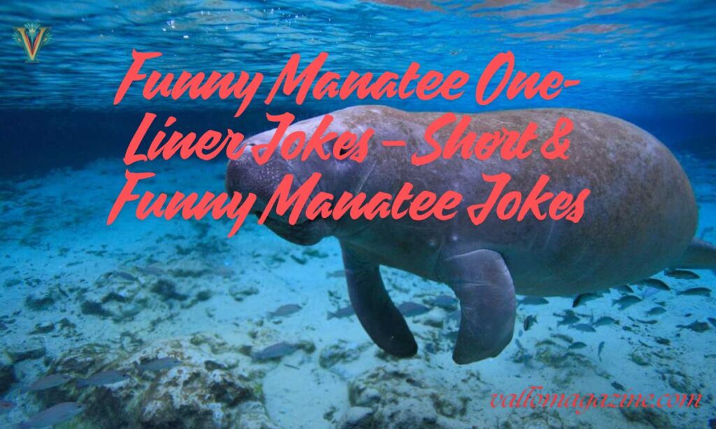 Funny Manatee One-Liner Jokes – Short & Funny Manatee Jokes