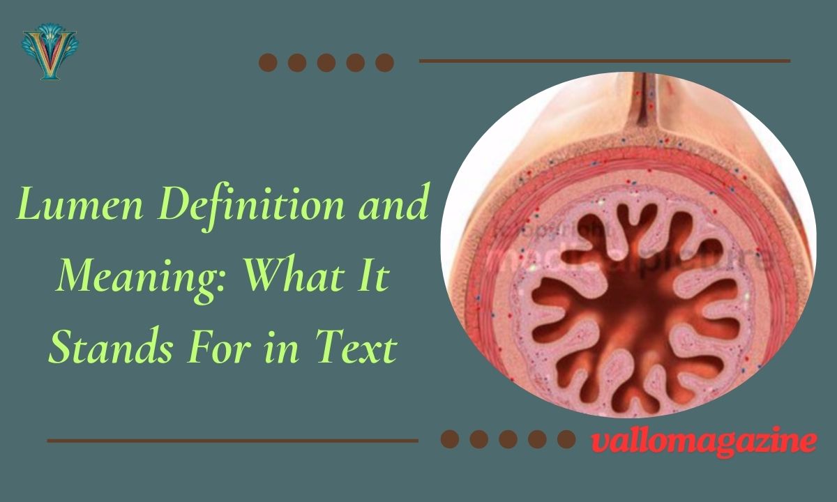 Lumen Definition and Meaning: What It Stands For in Text