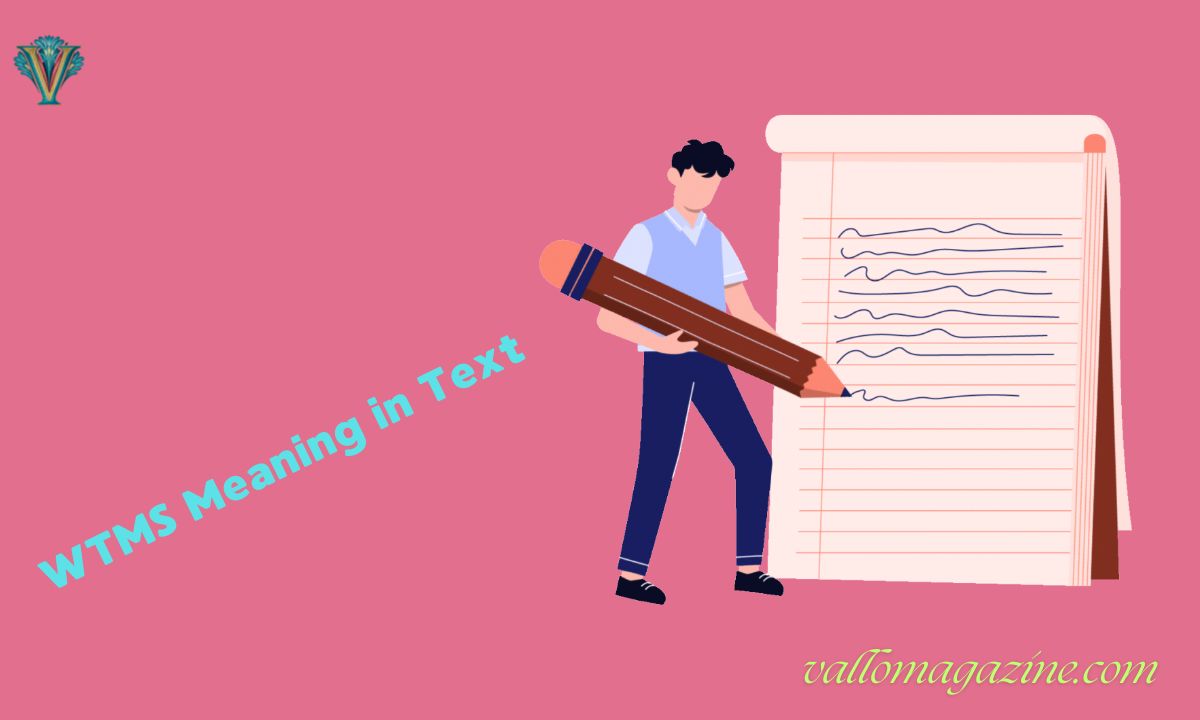 WTMS Meaning in Text: Decode This Popular Acronym