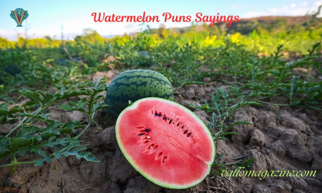 Watermelon Puns Sayings