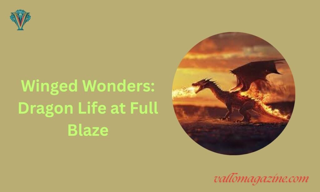 Winged Wonders: Dragon Life at Full Blaze